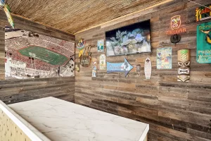 Vacation Rental In Lubbock - The Hut - Backyard